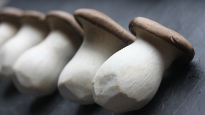 King Oyster mushroom